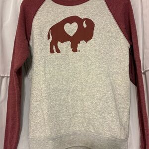 Alternative Burgundy and Gray Sweatshirt